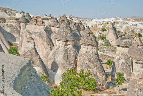 Obraz na płótnie Valley of fairies at Turkey Cappadocia park Goreme w salonie