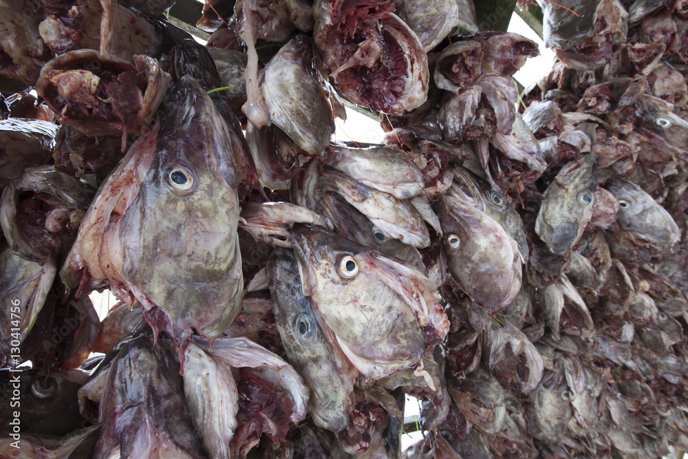 Dried Stockfish - The Tradition Lives On - Norwegian stockfish