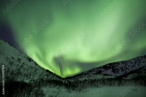 The Aurora Borealis, the spectacular Northern Lights fill the sky with dazzling green light above Kvaloya island at Tromso in the Arctic Circle in Northern Norway photo