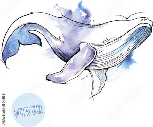 Vector illustration of watercolor whale