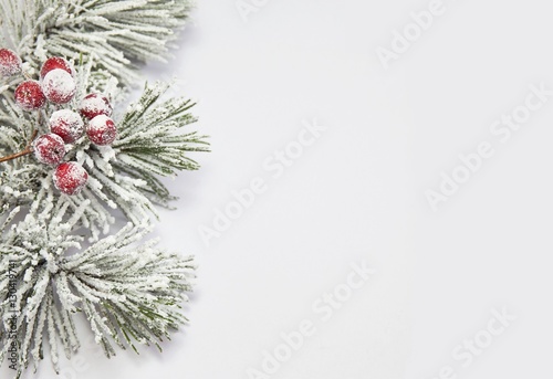 Christmas / Winter border design with snow covered pine needles and berries with a copy space on white background. Winter time. Holiday concept.