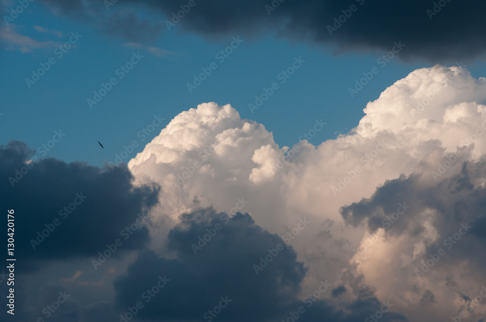 Obraz premium sky with clouds and clouds