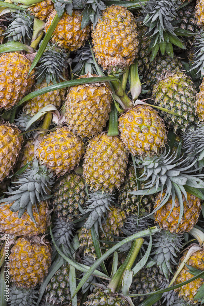 Fresh pineapple in local market in Kandy, Sri Lanka. Background Fresh pineapple in local market in Kandy, Sri Lanka. Background