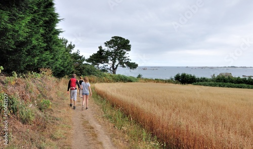 Chemin de randonnée le clong d'un champ et avec vue sur mer