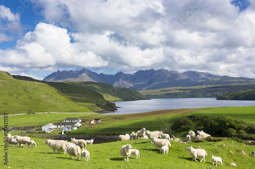 The Cuillin mountain range with croft farm, sheep and Loch Harport near Coillure, Isle of Skye, Inner Hebrides, Highlands and Islands, Scotland