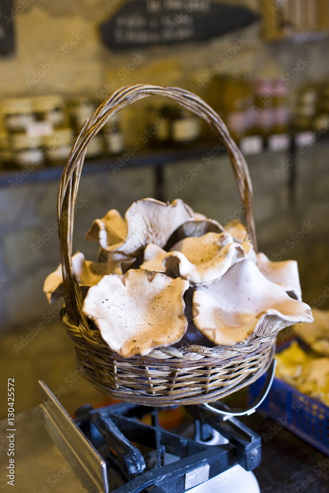 Basket of Pied Blue mushrooms grown in former troglodyte cave at Le Saut  aux Loups, in the Loire Valley, France Stock Photo | Adobe Stock