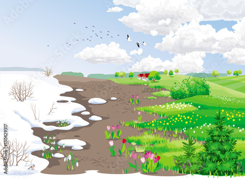 Spring rural landscape