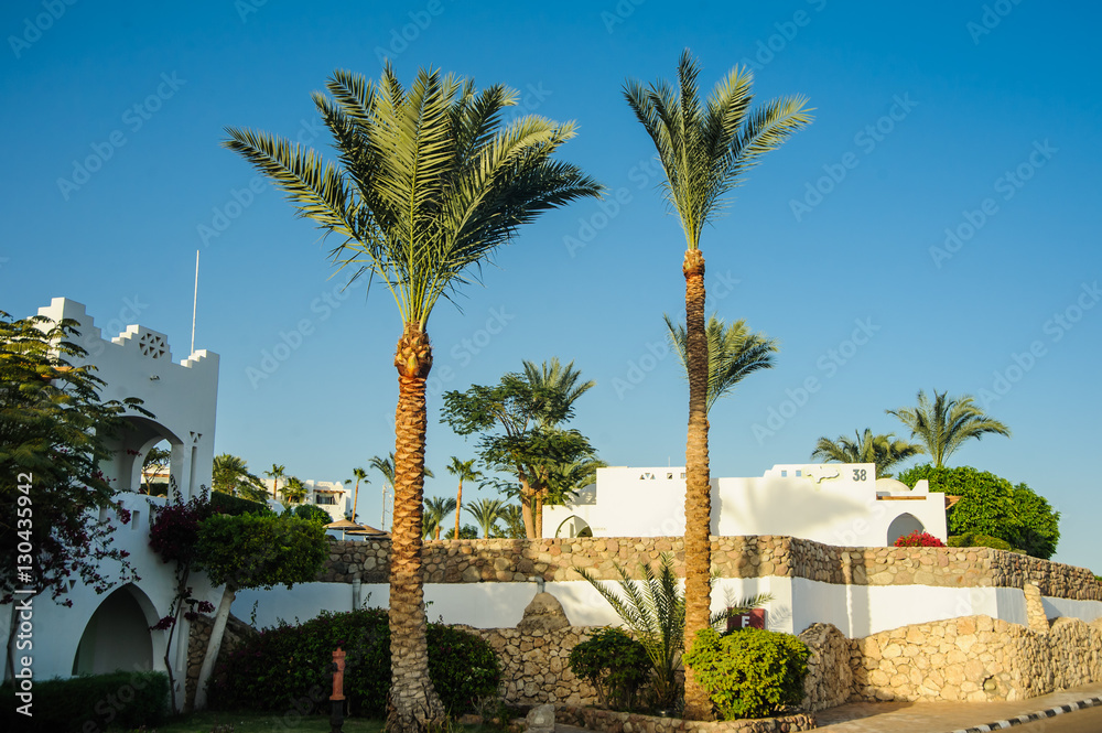 tropical location white houses arab style in red sea paradise palms and sunny