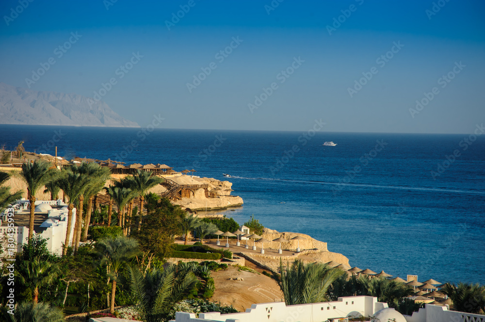 red sea white houses tropical location paradise palms green tree