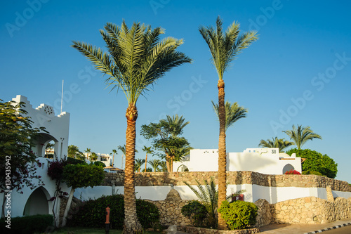 tropical location white houses arab style in red sea paradise palms and sunny © Med Photo Studio