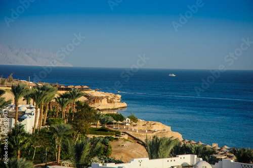 red sea white houses tropical location paradise palms green tree