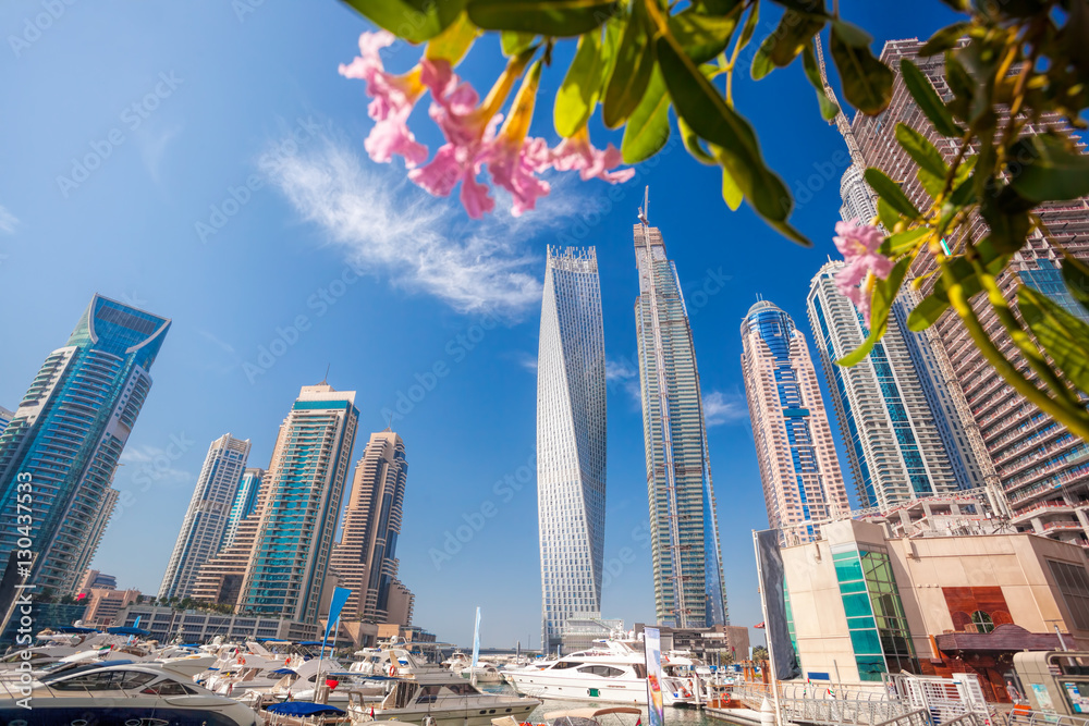 Fototapeta premium Dubai Marina with flowers in Dubai, United Arab Emirates