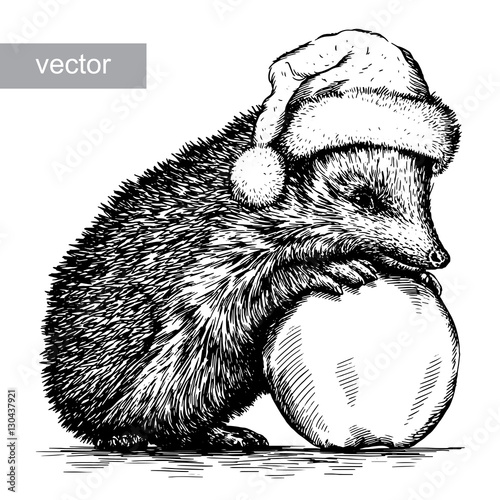 hedgehog with apple, black and white engrave. Christmas hat.