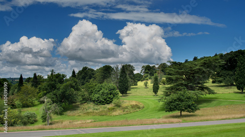 English park with lots of different trees. Devon. England