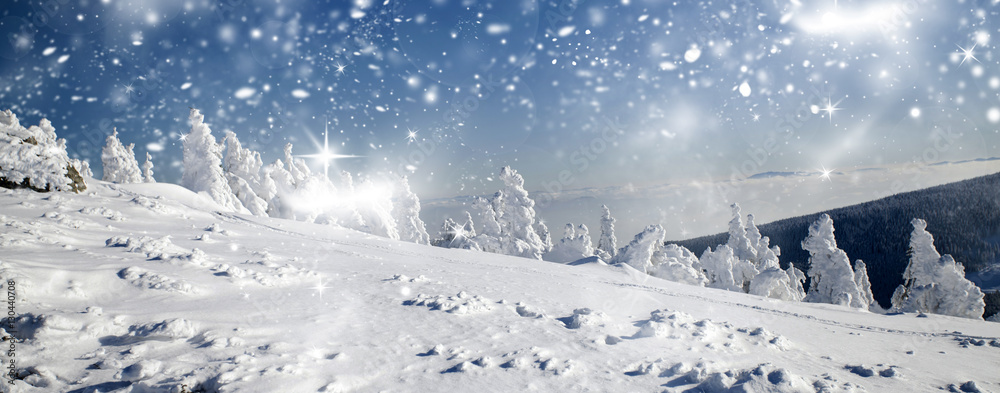 Winter landscape with snowy fir trees Winter landscape with snowy fir trees