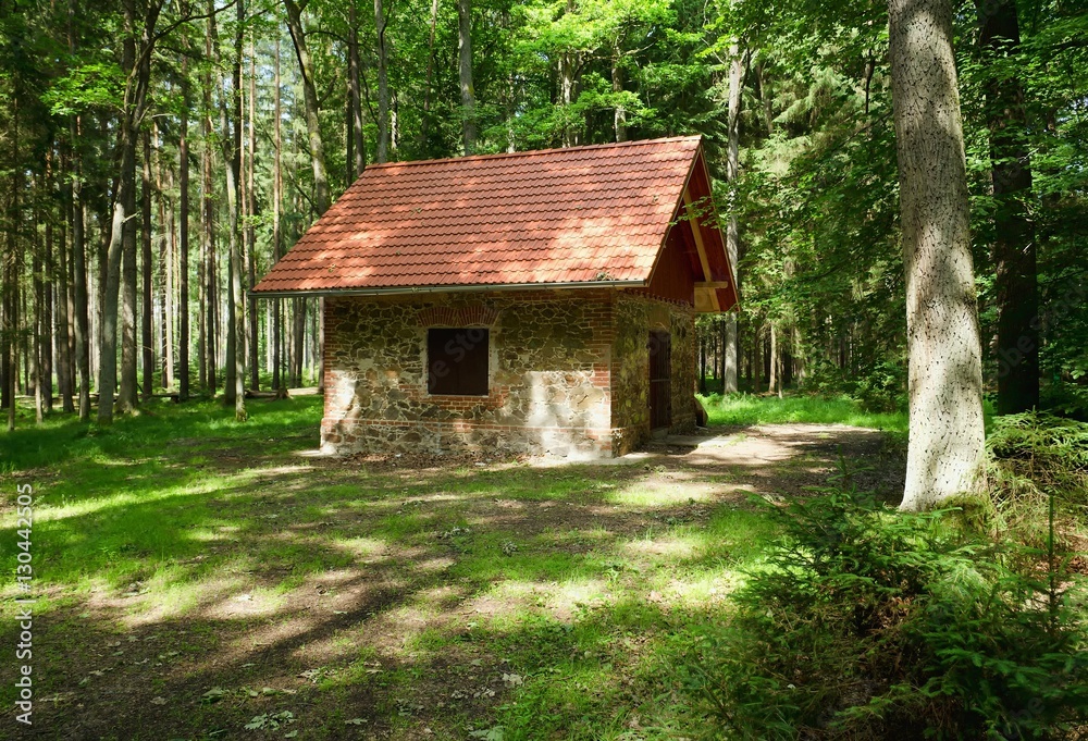 Small house in the middle of forests.