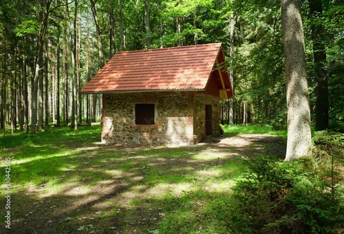 Small house in the middle of forests.