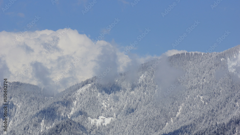 Schnee auf die Berge und Bäume und große Wolke und Gipfel der Alpen 
