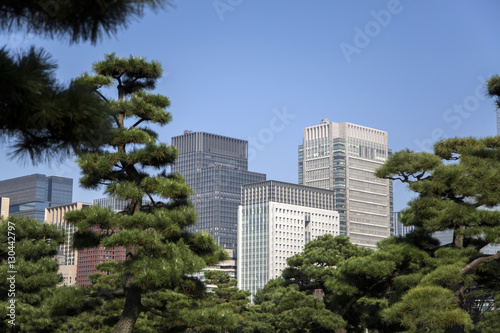 Beautiful green park garden with city view inTokyo, Japan