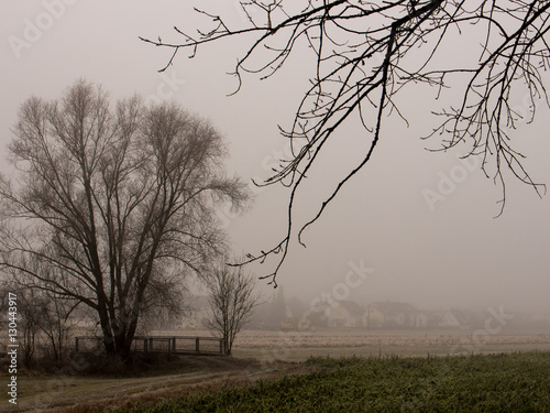 Wintertag mit Nebel und Frost