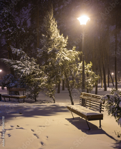 Winter night landscape- bench under winter trees and shining street lights under winter falling snowflakes. Colorful night scene with falling snow in the deserted night park