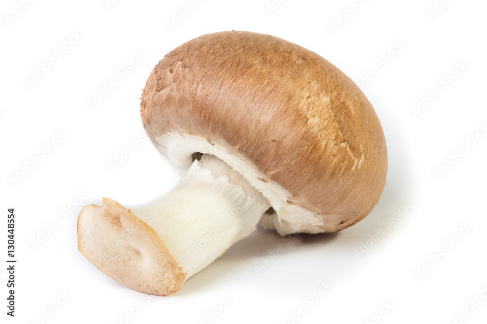 Fototapeta premium Champignon