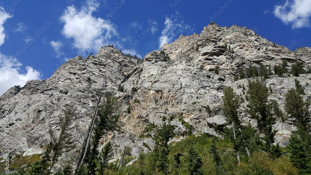 The craggy peaks of the Tetons