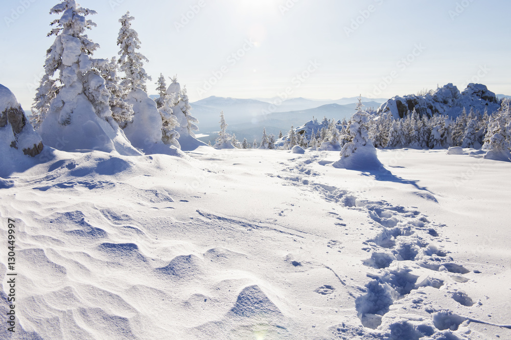 Footprints in the snow. Winter landscape. Ural, Zyuratkul
