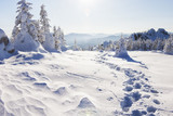 Footprints in the snow. Winter landscape. Ural, Zyuratkul