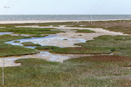 Ramsar Area - Walvis Bay