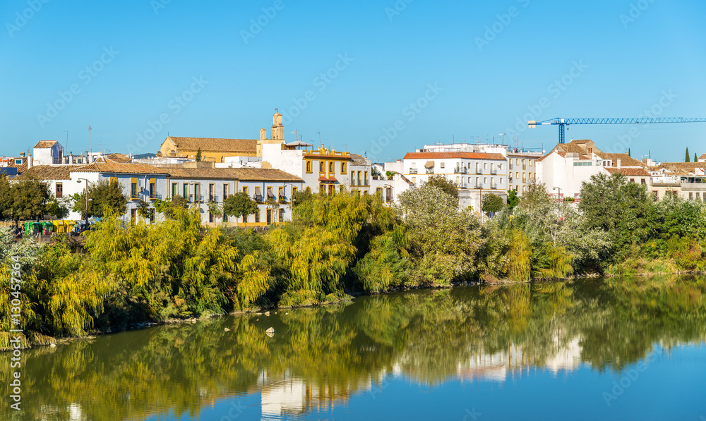 Cordoba city above the Guadalquivir river in Spain