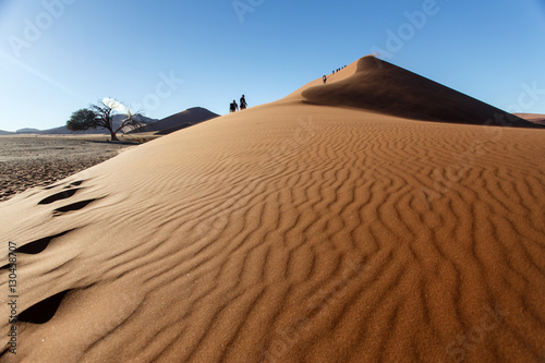 Sand Dune No. 45 at Sossusvlei  Namibia