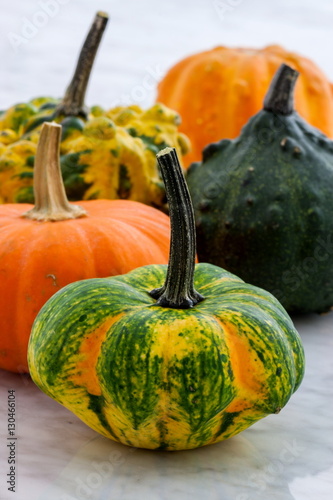 organic summer squash photo