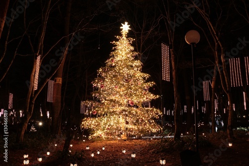 森の中のクリスマス/森の中のクリスマスツリーとイルミネーション