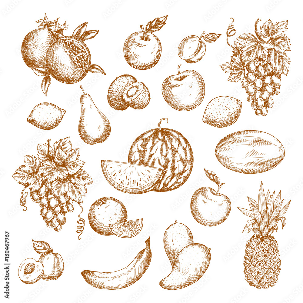 Fresh fruit sketch set for healthy food design Fresh fruit sketch set for healthy food design