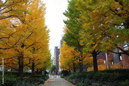 日本橋浜町