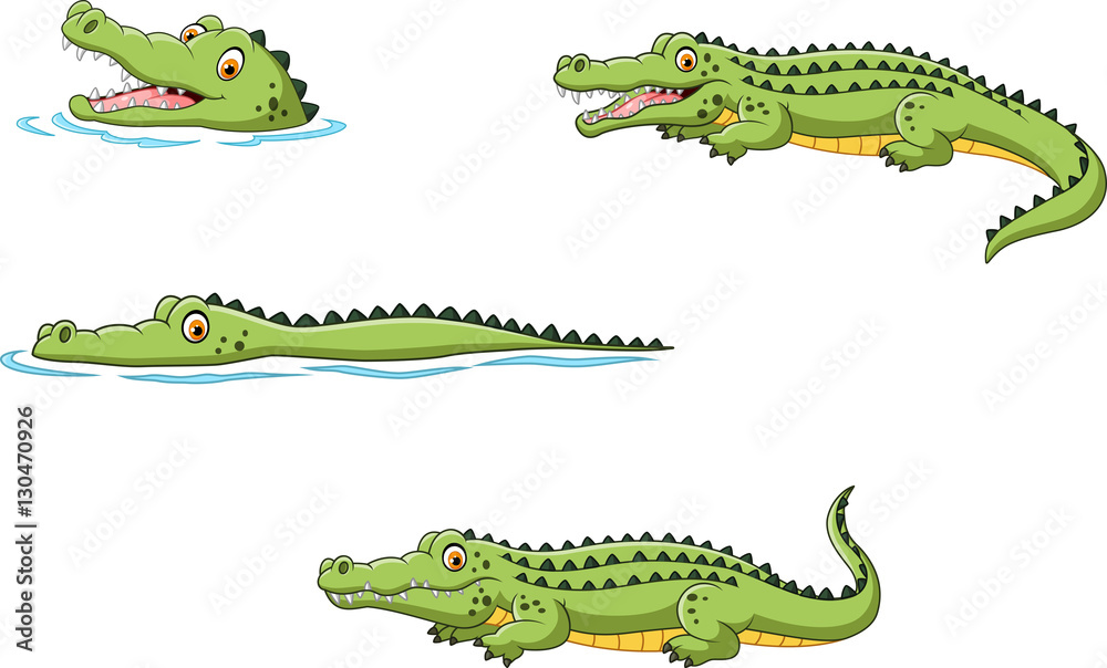 Naklejka premium Zestaw kolekcji krokodyla