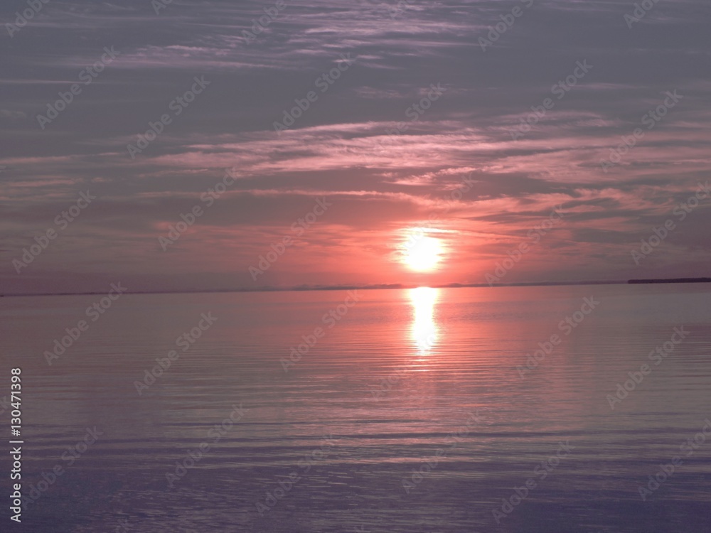 lavender sunrise