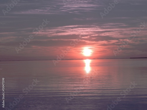 lavender sunrise