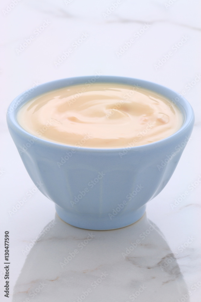 plain french style yogurt plain french style yogurt