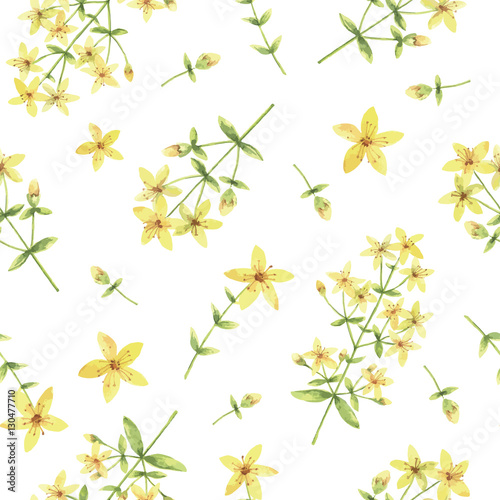 Watercolor vector seamless pattern with St Johns wort flowers and branches.