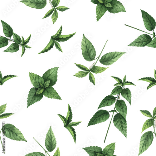 Watercolor vector seamless pattern with nettle flowers and branches. © ElenaMedvedeva