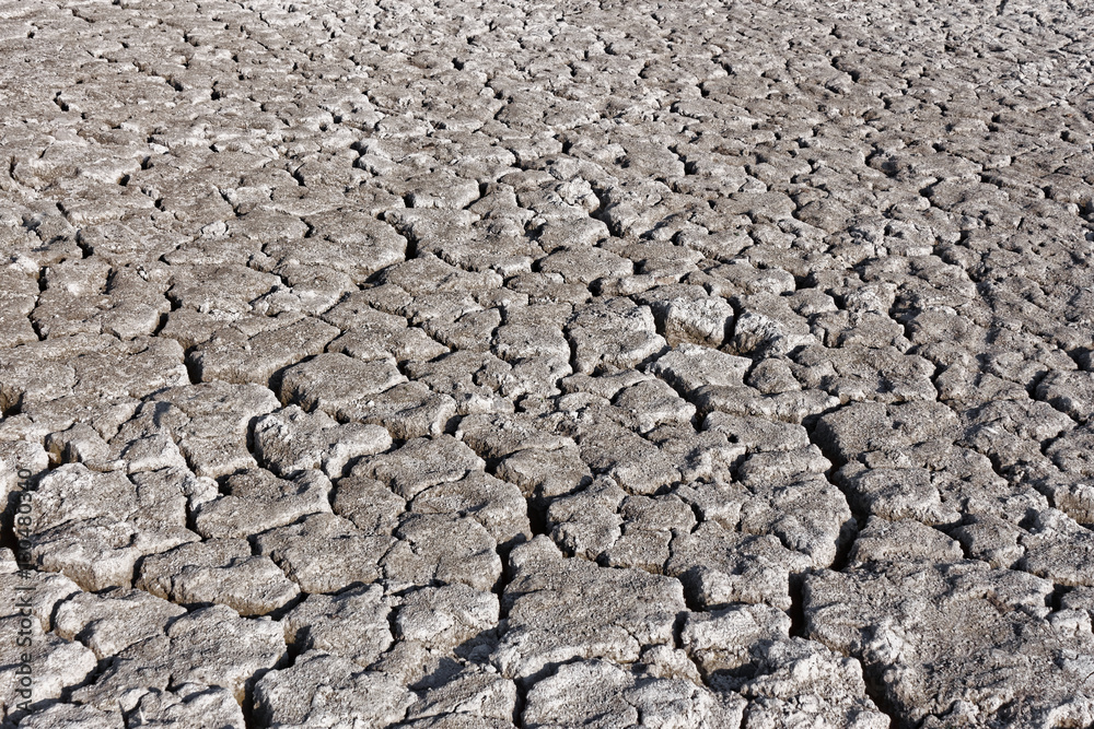 Cracked grey soil surface of dried pond Cracked grey soil surface of dried pond