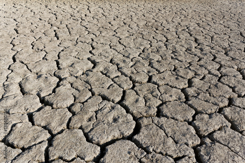 Cracked soil surface of dried lake