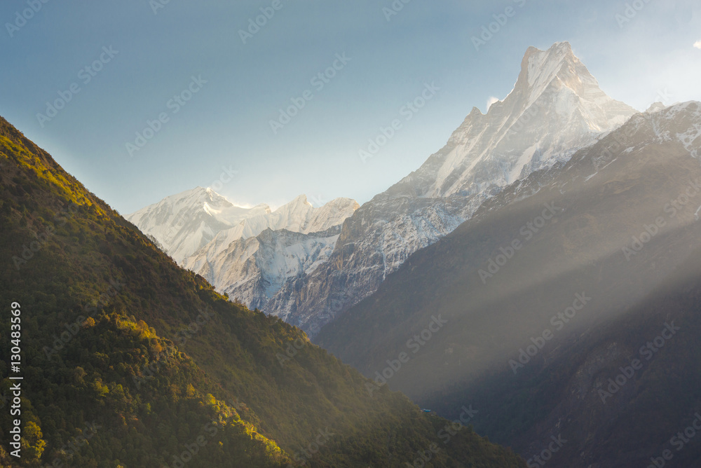 Himalayan mountain peak during sunrise ( Machapuchare or Fishtail peak in Nepal )..