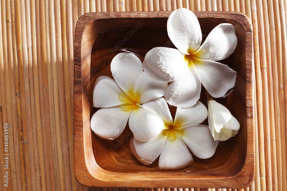 Frangipani blossom Frangipani blossom