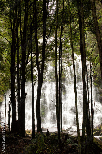 Waterfall in Tasmania