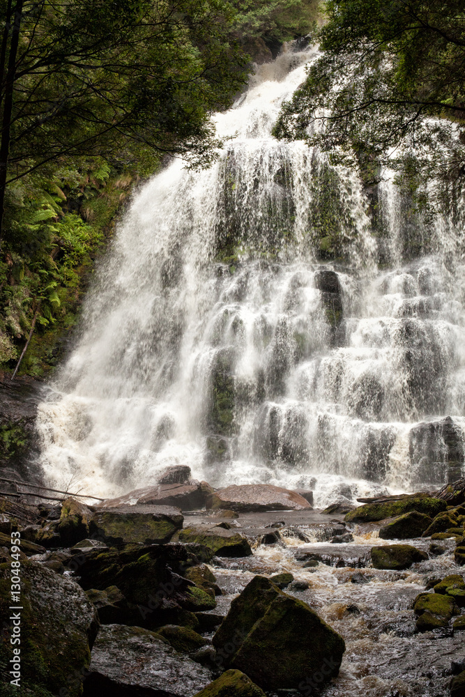 Waterfall in Tasmania Waterfall in Tasmania