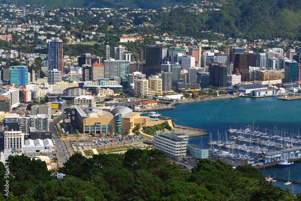 Wellington aerial view
