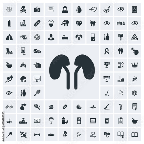 Kidney icon, vector icon set